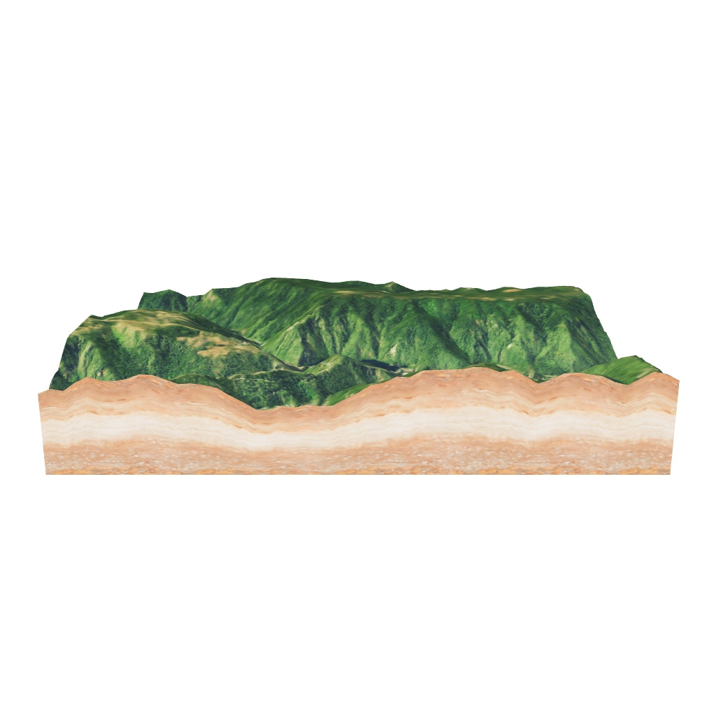 Blood Pressure Monitor